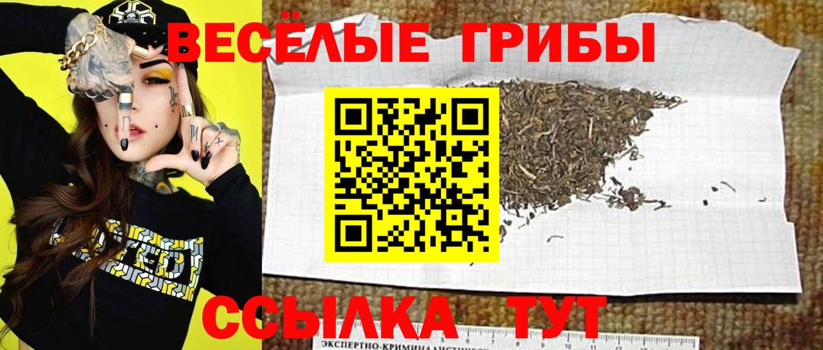 Галлюциногенные грибы мицелий  Галлюциногенные грибы Cubensis  Вход с VPN  Бузулук 